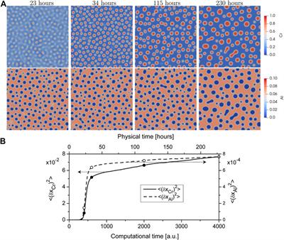 Phase field modeling microstructural evolution of Fe-Cr-Al systems at <mark class="highlighted">thermal treatment</mark>